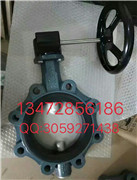 保证原装正品德国EBRO依博罗涡轮蝶阀 Z014-A规格齐全