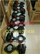 德国EBRO依博罗Z011-A电动蝶阀规格齐全