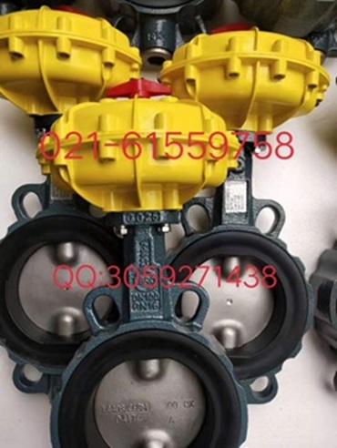 原装正品 德国依博罗EBRO气动扇形蝶阀规格齐全速发货